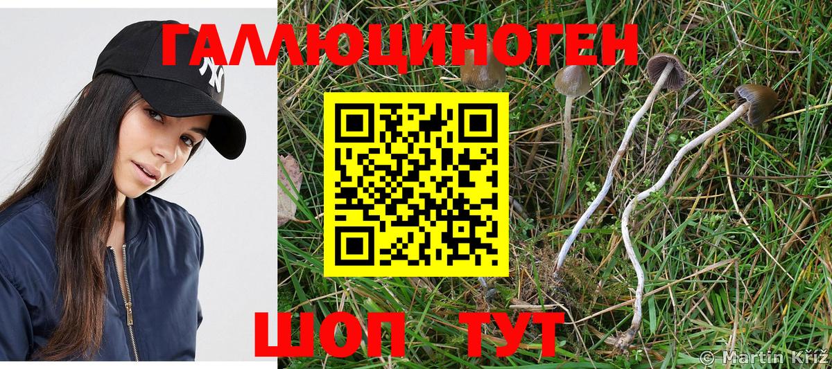 Галлюциногенные грибы мухоморы  Псилоцибиновые грибы Magic Shrooms  Вход с VPN  Отрадное 